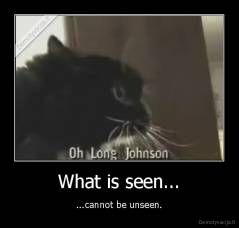 What is seen... - ...cannot be unseen.