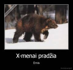 X-menai pradžia - Ernis