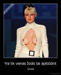 Yra tik vienas žodis tai apibūdint -  Grožis