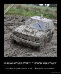 Ziurovams lengva pasakyt: " vaziuoja kaip uzmiges" - Taciau nera taip jau lengva kaip atrodo.... Jie stengiasi is paskutiniuju....
