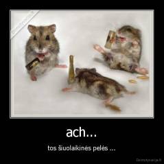 ach... - tos šiuolaikinės pelės ...