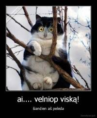 ai.... velniop viską! - šiandien aš pelėda