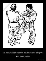 as moku džudžitsu sambo dziudo aikido ir daugybe - kitu baisiu zodziu