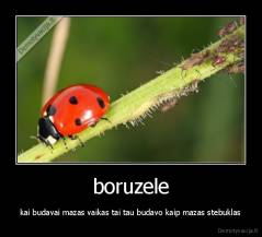 boruzele - kai budavai mazas vaikas tai tau budavo kaip mazas stebuklas