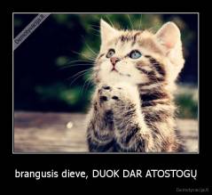 brangusis dieve, DUOK DAR ATOSTOGŲ - 