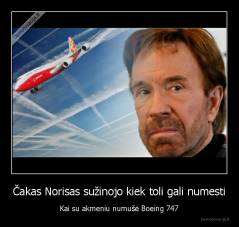 Čakas Norisas sužinojo kiek toli gali numesti - Kai su akmeniu numušė Boeing 747