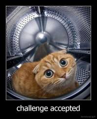 challenge accepted - 