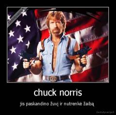 chuck norris - jis paskandino žuvį ir nutrenkė žaibą 