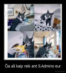 Čia aš kaip reik ant S.Admino eur - 