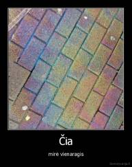 Čia - mirė vienaragis