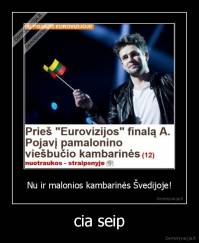 cia seip - 