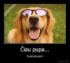 Čiau pupa... - Susizvanysim