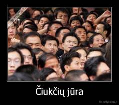 Čiukčių jūra - 