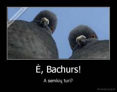 Ė, Bachurs! - A semkių turi?