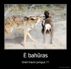 Ė bahūras - Greit trauki pinigus !!!