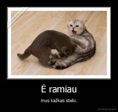 Ė ramiau - mus kažkas stebi.