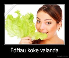 Ėdžiau koke valanda - 