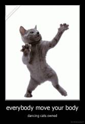 everybody move your body - dancing cats owned