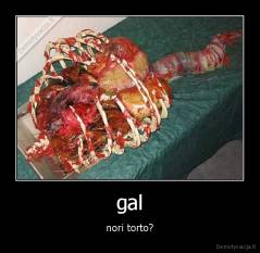 gal - nori torto?