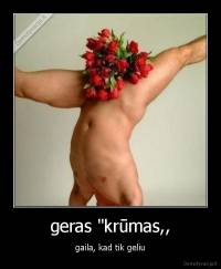 geras "krūmas,, - gaila, kad tik geliu