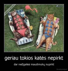 geriau tokios katės nepirkt - dar neižgalėsi maudimukų nupirkt