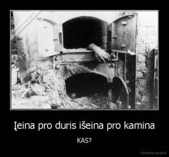 Įeina pro duris išeina pro kamina - KAS?