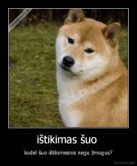 ištikimas šuo  - kodėl šuo ištikimesnis negu žmogus?