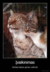 Įvaikinimas - Kartais tiesios geriau nežinoti