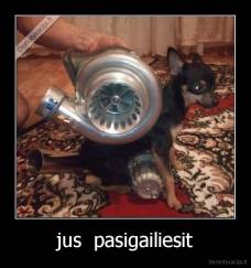 jus  pasigailiesit - 