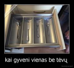 kai gyveni vienas be tėvų  - 