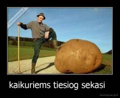 kaikuriems tiesiog sekasi   - 
