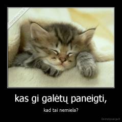 kas gi galėtų paneigti, - kad tai nemiela?