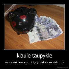 kiaule taupykle - nors ir kiek beturetum pinigu,ju niekada neuzteks... :)