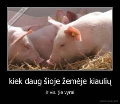 kiek daug šioje žemėje kiaulių - ir visi jie vyrai
