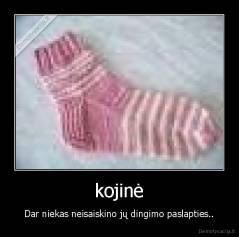 kojinė - Dar niekas neisaiskino jų dingimo paslapties..