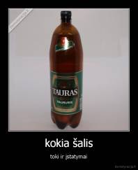 kokia šalis - toki ir įstatymai