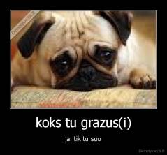 koks tu grazus(i) - jai tik tu suo
