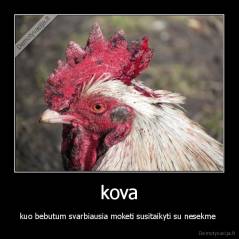 kova - kuo bebutum svarbiausia moketi susitaikyti su nesekme 