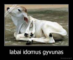 labai idomus gyvunas - 