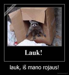 lauk, iš mano rojaus! - 