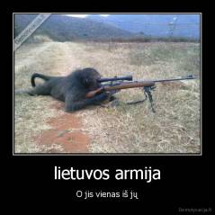lietuvos armija - O jis vienas iš jų