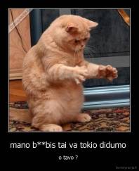 mano b**bis tai va tokio didumo  - o tavo ? 