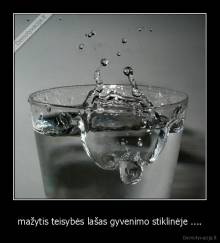 mažytis teisybės lašas gyvenimo stiklinėje .... - 