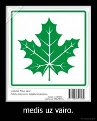 medis uz vairo. - 