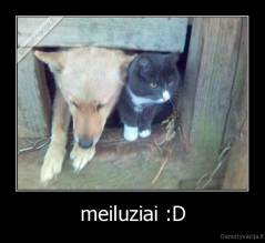 meiluziai :D - 