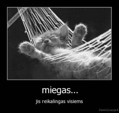 miegas... - jis reikalingas visiems