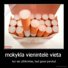 mokykla vienintelė vieta  - kur esi užtikrintas, kad gausi parukyt