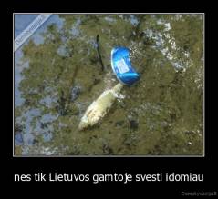 nes tik Lietuvos gamtoje svesti idomiau - 