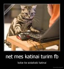 net mes katinai turim fb - kokie tie siolaikiski katinai