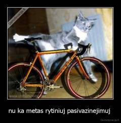 nu ka metas rytiniuj pasivazinejimuj  - 